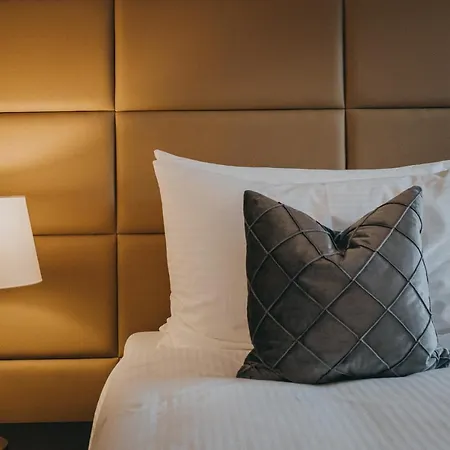 호텔 Dakota 마이링겐