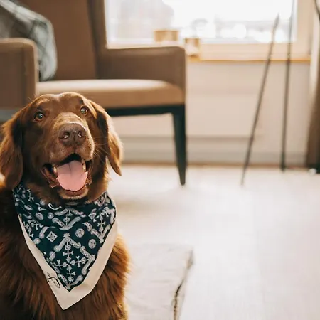 호텔 Dakota 마이링겐