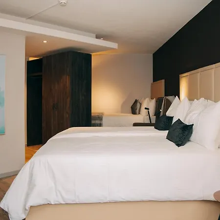 Dakota 4* Meiringen